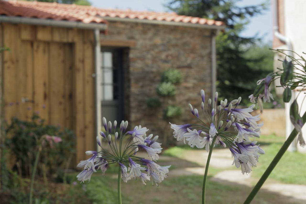 La Demoiselle De Bohardy Διαμέρισμα Montrevault Εξωτερικό φωτογραφία
